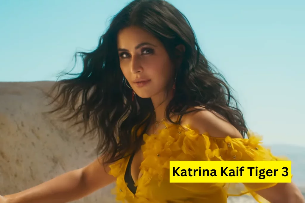 Katrina Kaif Tiger 3